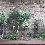 East London Apartmentsleeps2-Garden-Transportlinks